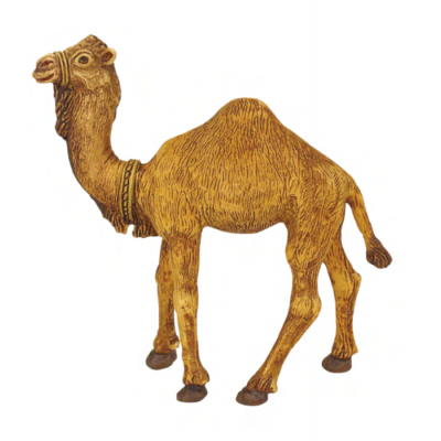 Camello de durexina