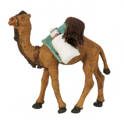 Camello de carga en durexina