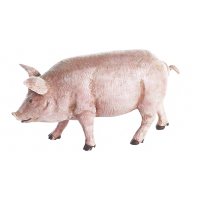 Cerdo de durexina patinado