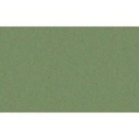 suelo verde para belen oliver