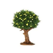 Limonero con frutos 14 cm, 6 unidades