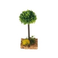 Olmo con musgo 14 cm, 6 unidades