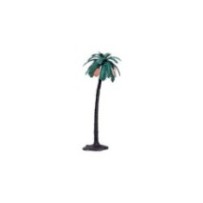 Palmera dátiles 14 cm