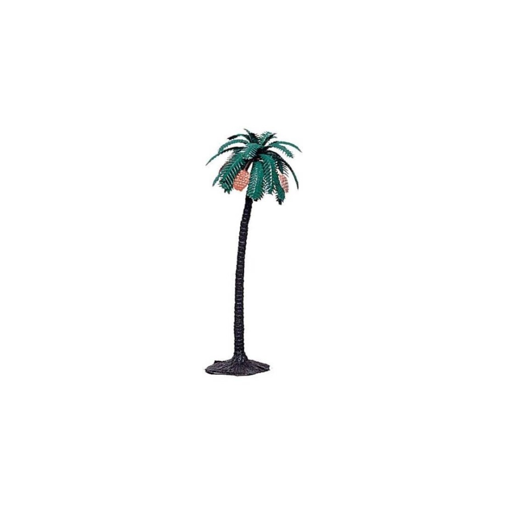 Palmera dátiles 14 cm