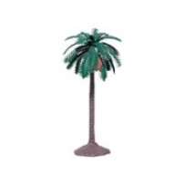 Palmera dátiles 18 cm