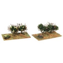 6 Viñas surtidas de Oliver