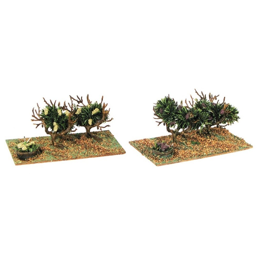 6 Viñas surtidas de Oliver