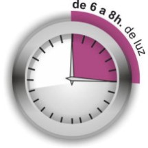 Guirnalda Solar 300 LED (29m) | Uso Exterior y 8 Funciones | latiendadelosbelenes