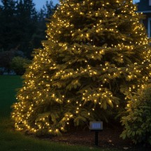 Guirnalda Solar 300 LED (29m) | Uso Exterior y 8 Funciones | latiendadelosbelenes