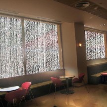 Cortina LED 256 Luces (1.5x1.6m) | Blanco Cálido | Empalmable | latiendadelosbelenes